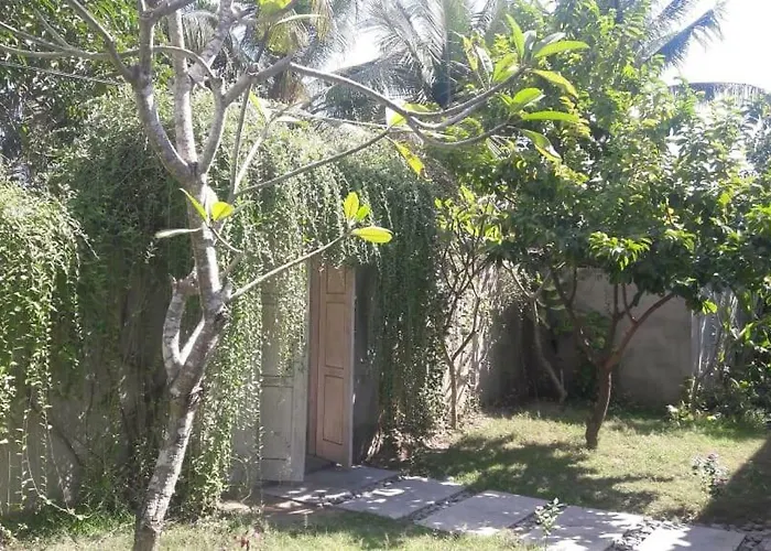 Vista Huts